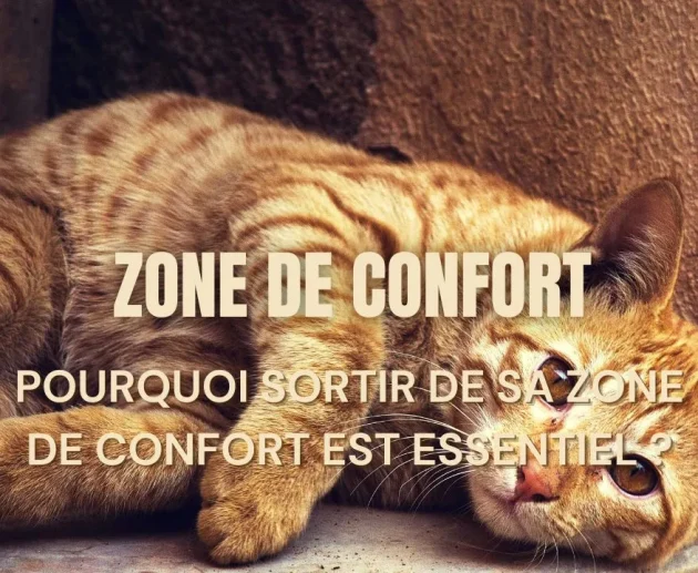 Pourquoi sortir de sa zone de confort est essentiel ?