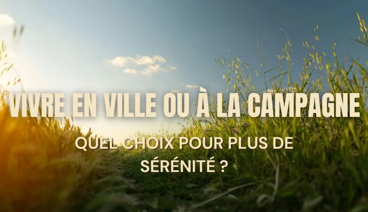 Vivre en ville ou à la campagne : quel choix pour plus de sérénité ?