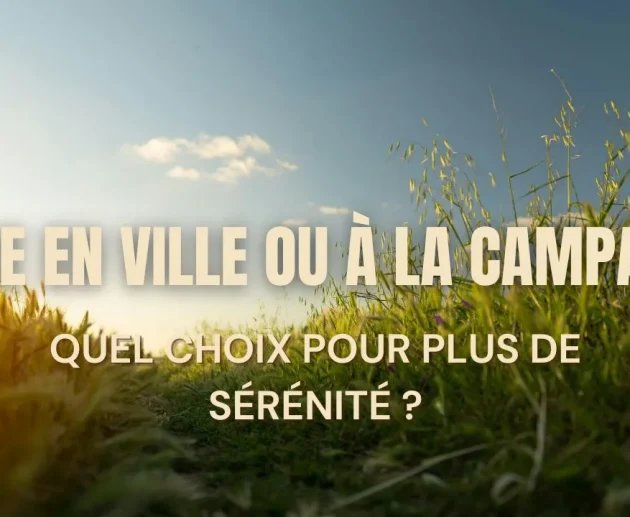 Vivre en ville ou à la campagne : quel choix pour plus de sérénité ?